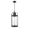 Z-Lite Roundhouse 1 Light Outdoor Chain Mount Ceiling Fixture, Black And Clear Seedy 569CHB-BK - alternate 4
